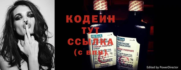 твердый Аркадак