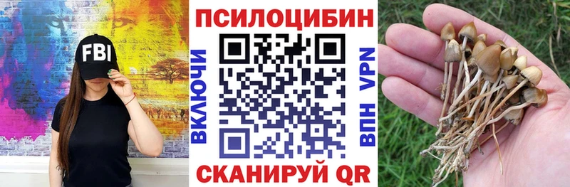 Галлюциногенные грибы мухоморы  наркошоп  Бугульма 